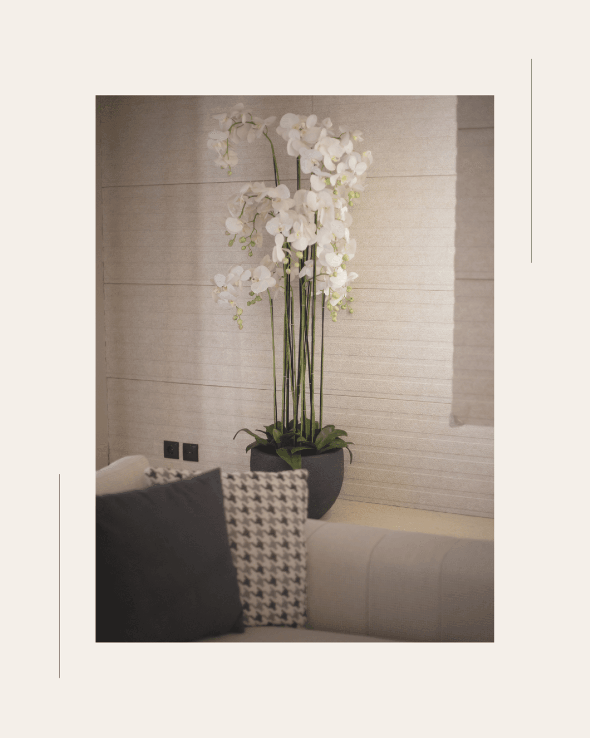 Home Details — photo 20
